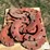 case-ih-rear-wheel-weights-image-8