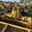 1986-caterpillar-627b-image-40