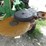 john-deere-2510-image-9