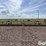 hamby-cultipacker-image-6