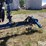 2023-kinze-3505-image-12
