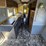 #2549-•-1972-airstream-sovereign-23973-camper-image-11