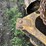 2002-caterpillar-d5m-lgp-image-24