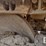 2006-caterpillar-953c-image-26