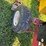 2009-new-holland-98d-image-23
