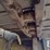 2010-caterpillar-d6n-lgp-image-29