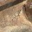 bobcat-t250-image-39