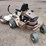 grasshopper-721d-image-4