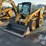 caterpillar-246-image-1