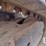 2021-bobcat-mt100-image-21