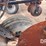 case-ih-npx5300-image-44