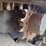 takeuchi-tl10v2-image-26