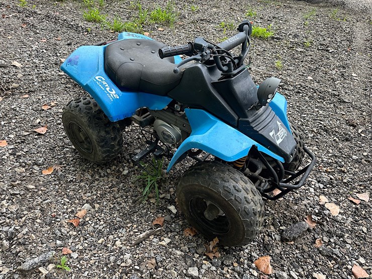 zebra-international-youth-atv-image-2