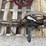 hand-crank-drill-press-image-2