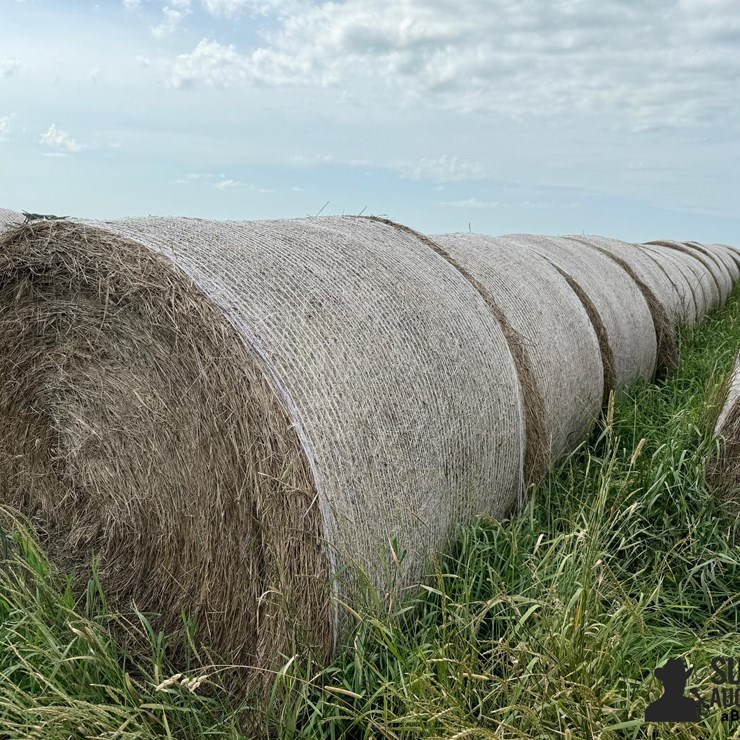 2024 Mixed Grass Hay Round Bales (BID PER UNIT)