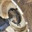 new-holland-7308-image-11