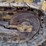 2004-deere-650h-xlt-image-35