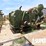 caterpillar-d398-image-1