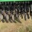 great-plains-2n3010-image-20