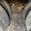 2014-b-b-dry-tender-trailer-(jn2475,-unit-30221)-image-31