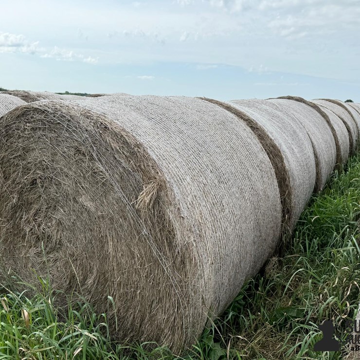 2024 Mixed Grass Hay Round Bales (BID PER UNIT)