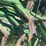 john-deere-36-image-5