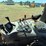 case-ih-mxu115-image-23