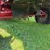 2002-case-ih-2388-image-41