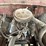 1968-ford-f600-image-11
