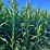 283-acres-of-franklin-county-real-estate-image-18