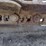 doosan-dx140-lcr-5-image-29