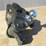 unused-curt-weight-distribution-hitch,-image-4