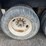 2011-stream-water-tanker-trailer-image-13