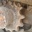 2019-takeuchi-tl6r-image-29
