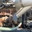 1998-freightliner-fl70-image-5