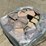 lot#-124-pallet-of-paver-stones-image-2