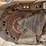 2010-caterpillar-d6n-lgp-image-26