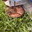 dry-spreader-(gp11010)-image-12