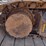 2007-hitachi-zx135us-image-22