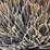 waldon-sweepmaster-ii-image-16