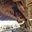 2007-komatsu-pc78mr-6-image-43
