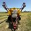 #28-•-wil-rich-sprayer-image-9