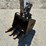 2020-bobcat-e20-image-8