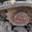 2020-takeuchi-tl8-image-20