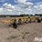 hamby-wfa321-image-3