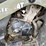 arctic-cat-500-image-29