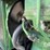john-deere-4620-image-55