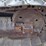 1999-caterpillar-d5c-xl-iii-image-35