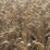 283-acres-of-franklin-county-real-estate-image-22