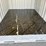 10'-shipping-container-image-6